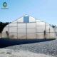 1.5m Plastic Shed Single Tunnel Greenhouse For Vegetables
