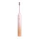 Adult Electric Toothbrush Waterproof USB Charging Rechargeable IPX7 Powerful With Carrying Case