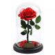 Never Withered Flowers preserved roses in glass dome Fresh flower rose Preserved roses