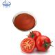 Natural Pigment Tomato Extract Powder Lycopene Powder 5% 10%