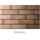 Low Water Absorption Exterior Thin Brick Durable For Real Estate