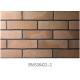 Low Water Absorption Exterior Thin Brick Durable For Real Estate