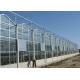 Recycling Anti Snow Planting Multi Span Glass Greenhouse
