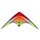 Special picture polyester delta stunt kite , sports kite ,easy assemble for