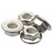 Stainless Steel SUS304 Hexagon Flange Nuts Din 6923 ISO 4161