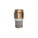 Forging Brass York Type In-Line Check Foot Valve with Stainless Steel Filter