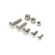 Stainless steel carriage square neck screws bolt