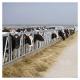 Anti Corrosion Thickness 3mm Cow Head Lock Dairy Feeding Equipment