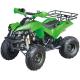 ATV 110cc,125cc,4-stroke,air-cooled,single cylinder,gasoline electric start