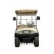 New Fashion Design Electric Golf Hunting Car 4 Seater with Sand Bottle Made in China Wholesale