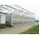 Double Layer Dutch Bucket Commercial Hydroponic Greenhouse For Tomato Planting