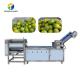 Customized Citrus Fruit And Vegetable Processing Line Impurities Treatment Sewage Disposal