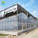 Agricultural Plastic Film Customized Multi-span Greenhouse With Shade Net