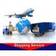 Professional Customs Declaration Service For USA Europe Import And Export