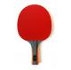 Professional Table Tennis Paddle Inverted Pips Anatomic Composite Handle Sponge 2.0mm