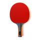 Professional Table Tennis Paddle Inverted Pips Anatomic Composite Handle Sponge