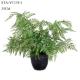 Simulated Fake Fern Tree , Fake Outdoor Ferns Easy To Care With Ceramic Like Pot