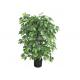 5 Feet Artificial Decoration Plants Evergreen Fake Silk Ficus Tree With Plastic Base
