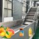 Beverage Extracting Sus304 1500t/D Citrus Processing Line