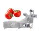 Industrial Fruit Bubble Washing Machine Tomatoes Pepper Bubble Washer for Fruit and Vegetable