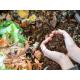 Food Wastes to Organic Fertilizer Plant