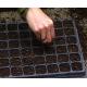 Lightweight 128 Holes Polypropylene Seed Trays 1020 Propagation Trays For Vegetable