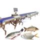Fully Automatic Fish Weight Sorting Machine Food Conveyor Weighing Scale