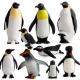 6 PCS Penguin Model Toy Desktop Decoration Collection Party Favors Toys for Boys Girls Kids