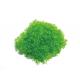 Tree powder for model tree are tree sponge ,tree foliage spongeT-2011