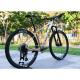 Aluminum Alloy Fork 29 Inch Mountain Bike with Hydraulic Disc Brake and Front Suspension