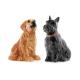 3d Animal Shaped Porcelain Salt And Pepper Shakers Pots Ceramic