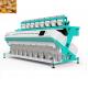 11T/H-19T/H Pecan Sorting Machine 12 Chutes 768 channels For White Rice Processing