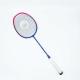 Dmantis D7 Model Wholesale Supply Training Equipment Badminton Racket for Professional Player Customiza