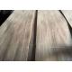 10 - 16% MC Crown Cut Natural Walnut Plywood Sheets