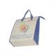 Non woven cooler bag/non woven bag