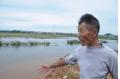 Heavy rains won't hurt early rice yield