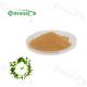 100% Natural Green Tea Extract L-Theanine Powder 20% 30% 40%
