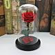 Wholesale Rose Preserved Flower in Glass Dome Flower for Valentines Day