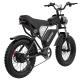 1000W Off Road Electric Bicycle 20MPH Adults / Teens Electric Bike