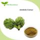 Natural Artichoke Leaf Extract Powder 2.5%-5% Cynara Scolymus Extract