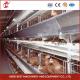 Poultry Farming Customized Chicken Battery Cage 100kg Weight Mia