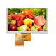 High Brightness 800x480 16.7M Color 3.3V 5 Inch Lcd Touch Screen