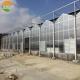 Multi-Span Agricultural Greenhouses with Hot Galvanized Steel Transparent Solar