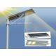 IP66 Rated 15W Motion Sensor Solar Garden Light Customization for Your Garden Space