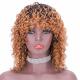 Hot Beauty Short Curly 100% Brazilian Human Hair Pixie Cut Wigs with Average Size