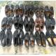 sorted used shoes for men woman children