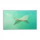 23.8'' LG LM238WF1-SLK1 FHD 1920 X 1080 LCD TFT Panel For Computer Or Touch Screen Monitor
