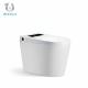 Multi Function Smart Intelligent Toilet S Trap 200mm Hotel Apartment Style