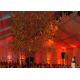 Classic Shape Decorated Wedding Tents  Red Roof Linings / Curtains