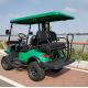 OEM 4 Seater Electric Golf Cart Buggy 4 Wheel Disc Brake Mini 10 Inch IP66 14 Inch Off Road